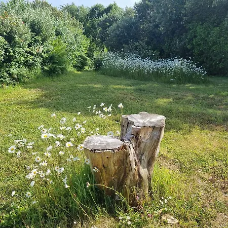 Sea Breeze At The Olde Forge 度假居